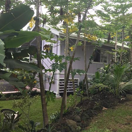 The Dolphin Cottage At Kehena Beach Екстер'єр фото