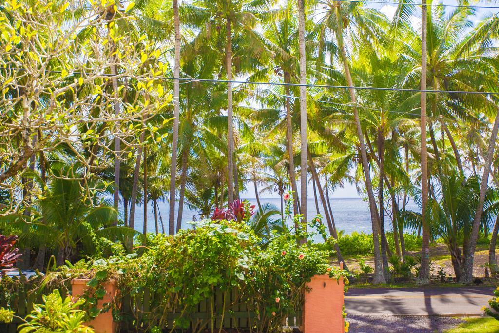 The Dolphin Cottage At Kehena Beach Екстер'єр фото