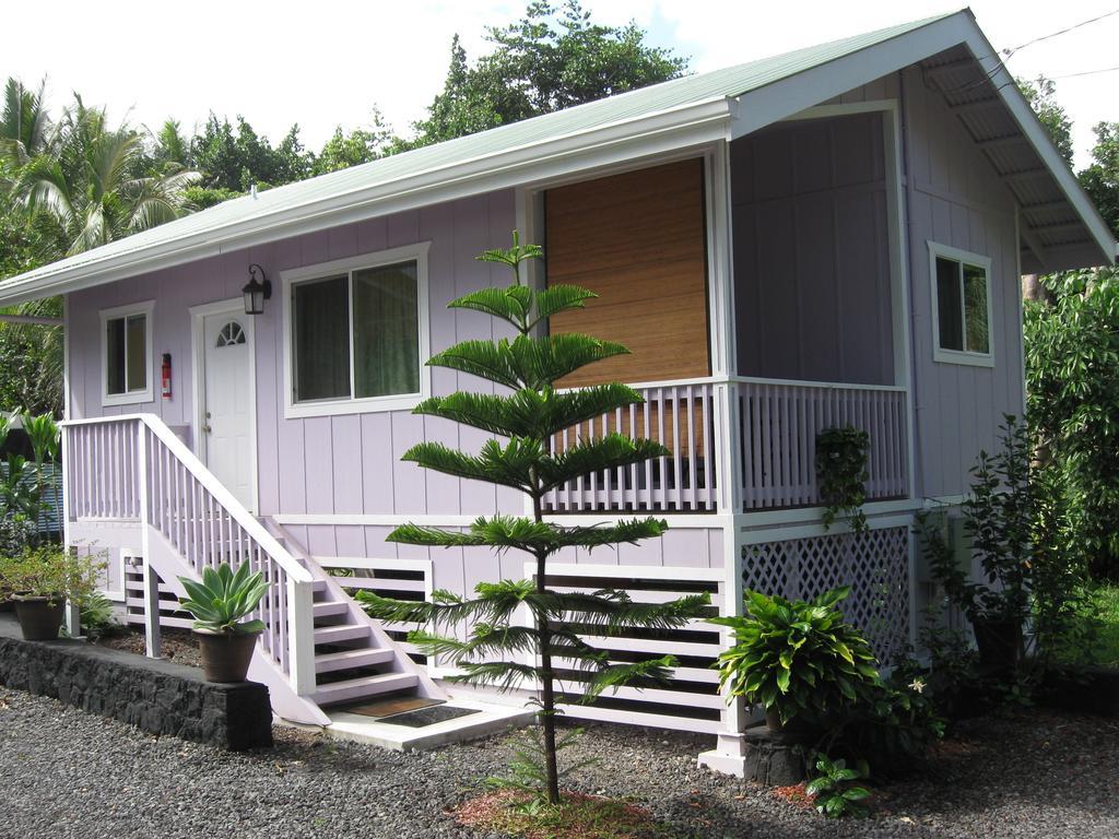 The Dolphin Cottage At Kehena Beach Екстер'єр фото