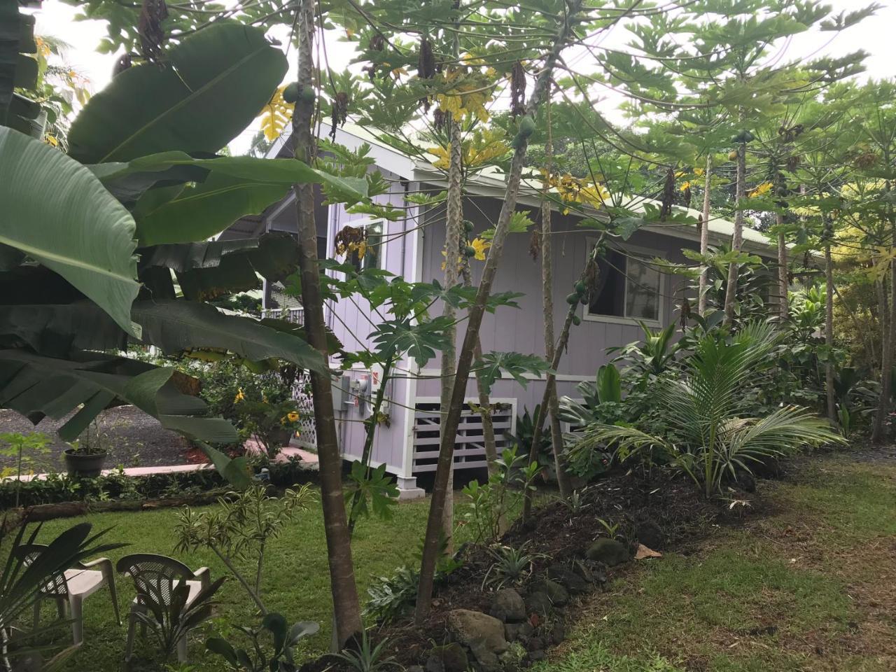 The Dolphin Cottage At Kehena Beach Екстер'єр фото